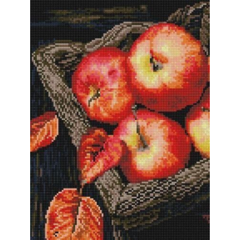 Алмазная мозаика. Rainbow Art