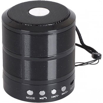 Колонка портативная MINI WS-887-X1-214 (Черный)