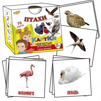 Обучающие карточки Глена Домана. 