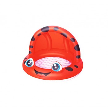 BW Бассейн 52189 (Божья коровка)