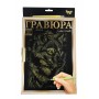 Гравюра «Golden Metallic» А-4 LUXE с рамкой 2706DT, 18 видов Гравюра «Golden Metallic» А-4 LUXE с рамкой 2706DT, 18 видов