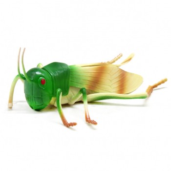 Резиновая игрушка насекомое H9814W с пишалкой  (Кузнечик)