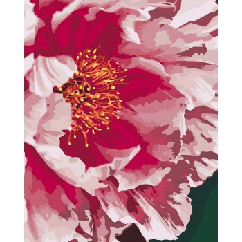 Картина по номерам. 