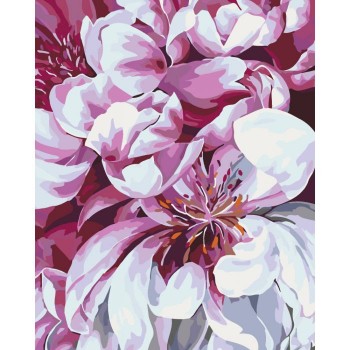 Картина за номерами. Букети 