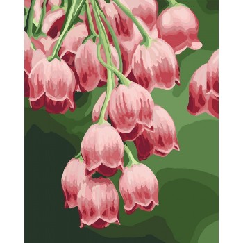 Картина за номерами. 