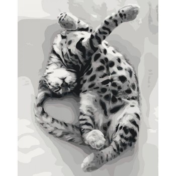 Картина по номерам. Животные, птицы 