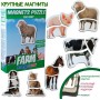 Магнитные пазлы Magdum  