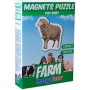 Магнитные пазлы Magdum  