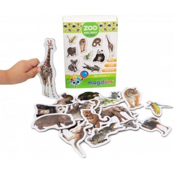 Набор магнитов 