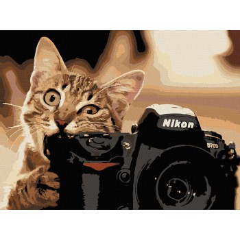 Картина за номерами. Art Craft 