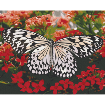 Картина за номерами. Art Craft