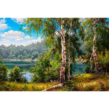 Картина за номерами. Rainbow Art 