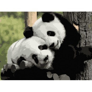 Картина за номерами. Art Craft 