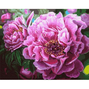 Картина за номерами. Rainbow Art