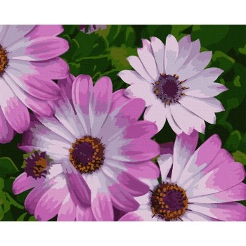 Картина за номерами. Art Craft 