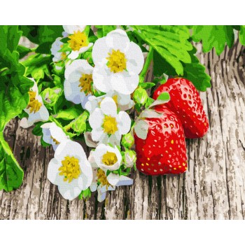 Картина за номерами. Brushme 