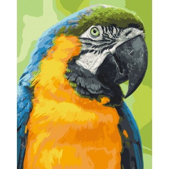 Картина за номерами. Art Craft