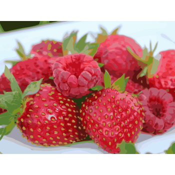 Картина за номерами. Art Craft 