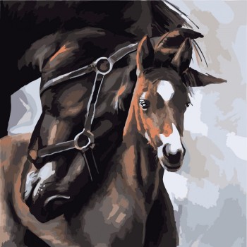 Картина по номерам. Животные, птицы 