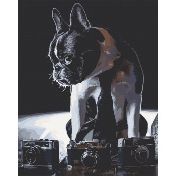 Картина за номерами. Art Craft