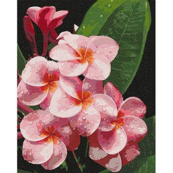 Картина за номерами. 