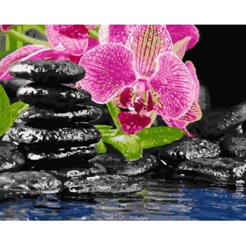 Картина за номерами. Rainbow Art 