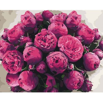 Картина за номерами. Art Craft 