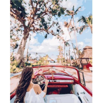 Картина за номерами. Brushme 