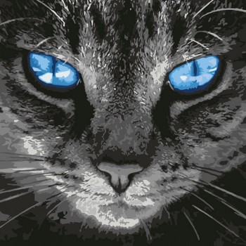 Картина за номерами. 