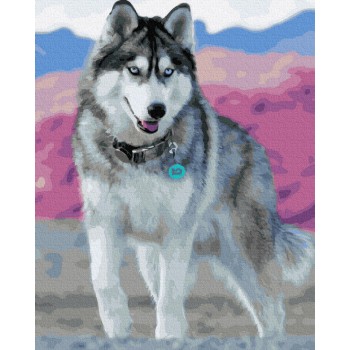 Картина за номерами. Rainbow Art 