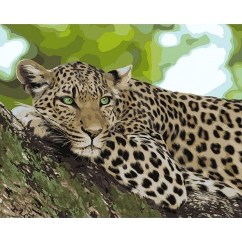 Картина за номерами. 