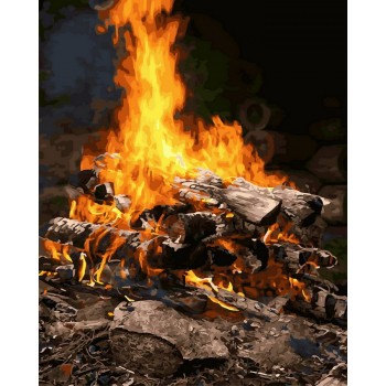 Картина по номерам. Rainbow Art 