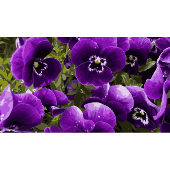 Картина за номерами. Art Craft 