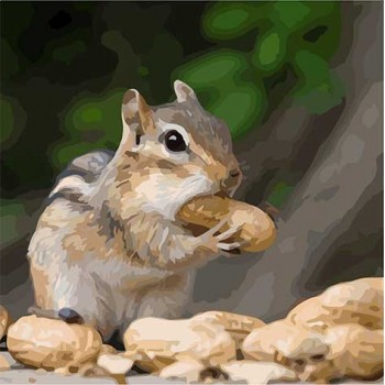 Картина за номерами. Art Craft 