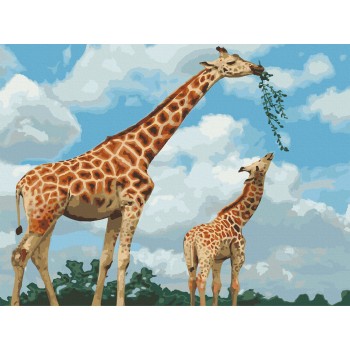 Картина за номерами. Art Craft