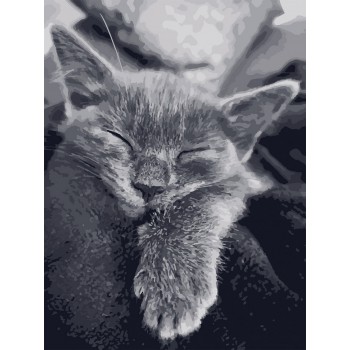 Картина за номерами. Art Craft 