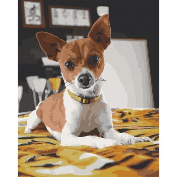 Картина за номерами. Art Craft