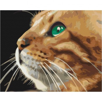 Картина по номерам 