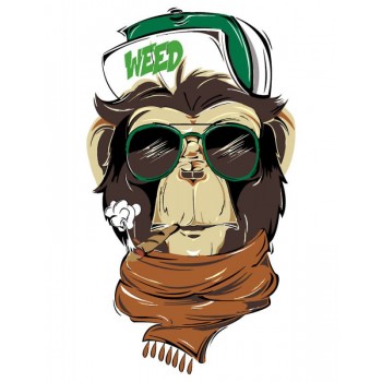 Картина за номерами. Rosa „Brutal Gorilla“ 35х45см N00013211