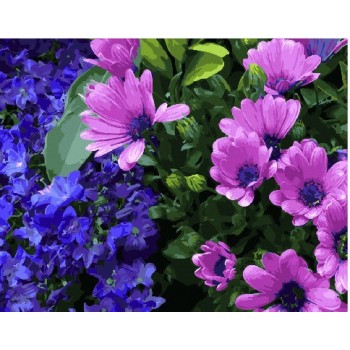 Картина за номерами. Brushme 