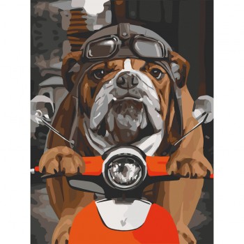 Картина по номерам 