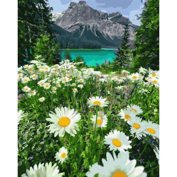 Картина по номерам. Brushme 