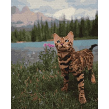 Картина за номерами. Brushme