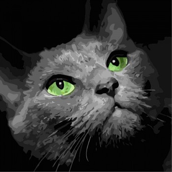 Картина за номерами 