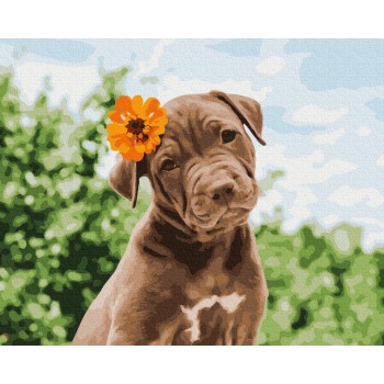 Картина за номерами Brushme. 