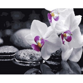 Картина за номерами. Rainbow Art 