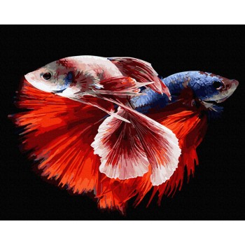 Картина по номерам 