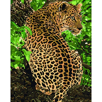 Картина по номерам. Животные, птицы 