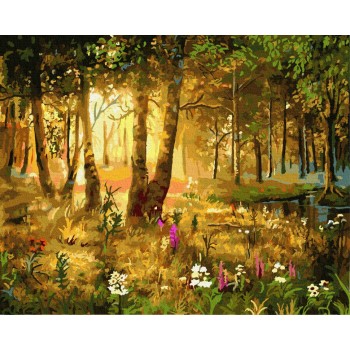 Картина за номерами. Rainbow Art 