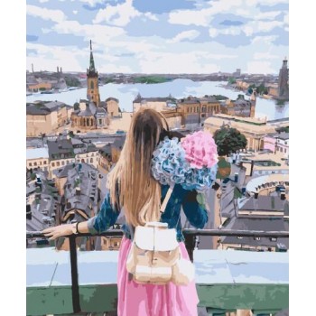 Картина по номерам. Brushme 